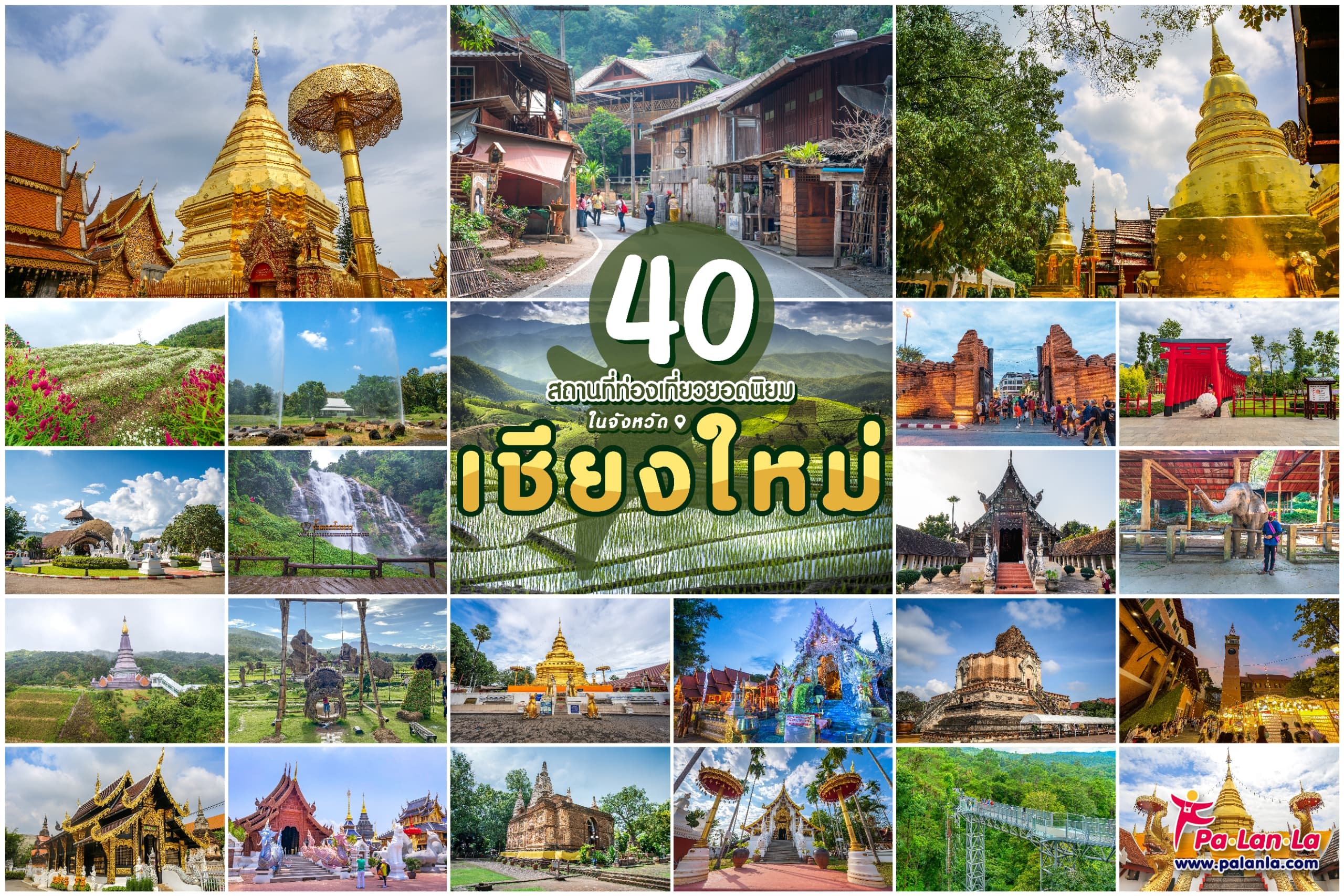เชียงใหม่